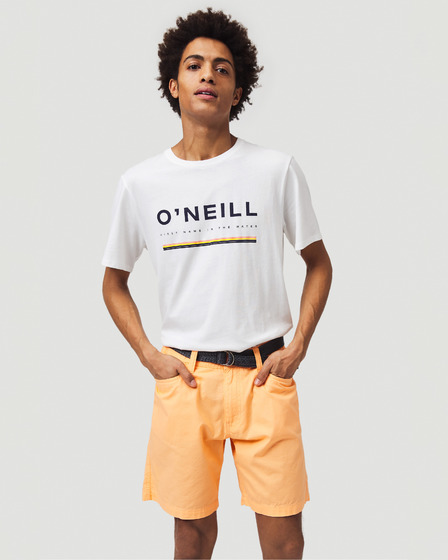 O'Neill Roadtrip Shorts
